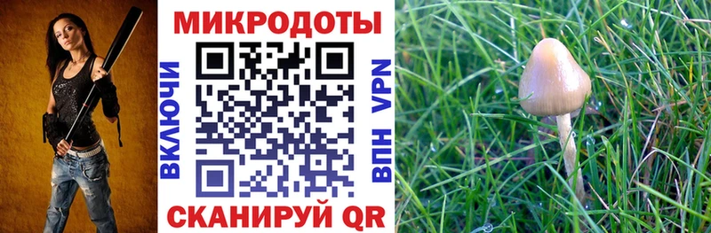 Купить закладки  Кемь  Галлюциногенные грибы мицелий 